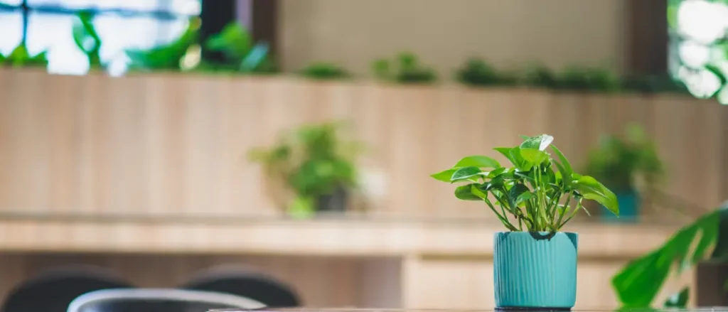 végétalisation d'interieur professionnel entreprise 78